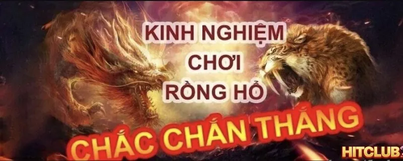 Kinh nghiệm khi chơi Rồng Hổ HitClub cho tân thủ